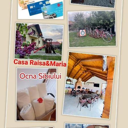 Casa Raisa & Maria Hotel Ocna Sibiului Exterior photo