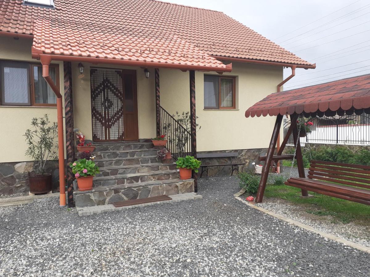 Casa Raisa & Maria Hotel Ocna Sibiului Exterior photo