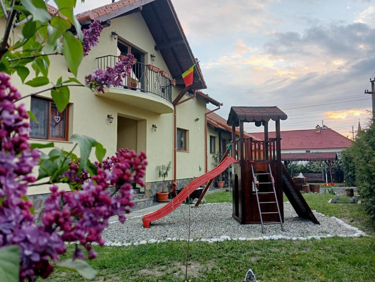 Casa Raisa & Maria Hotel Ocna Sibiului Exterior photo