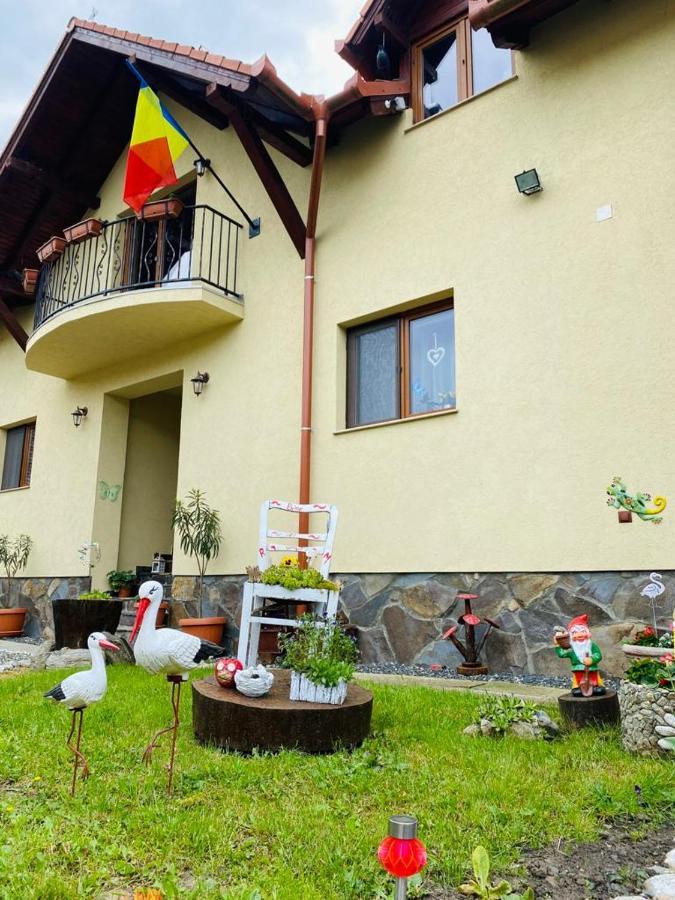Casa Raisa & Maria Hotel Ocna Sibiului Exterior photo